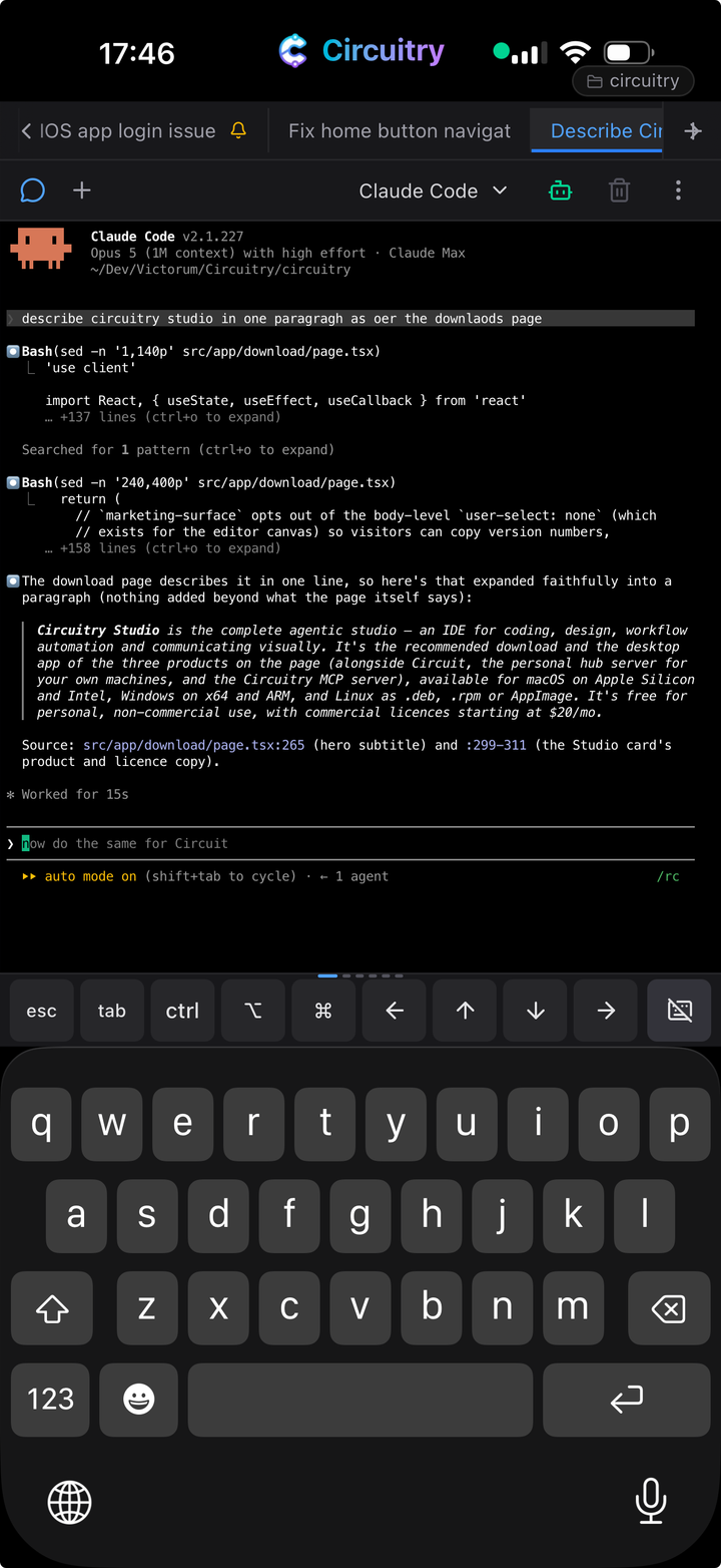 A coding agent running in a terminal on a phone, hosted on the Mac at home